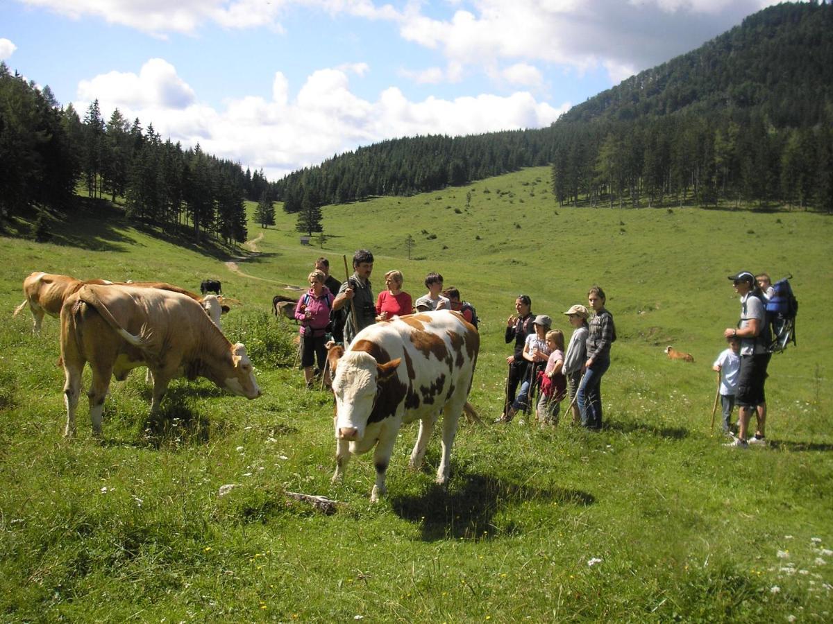 Ferienwohnungen Baumann-Breitenberg Sankt Georgen am Reith Exterior foto